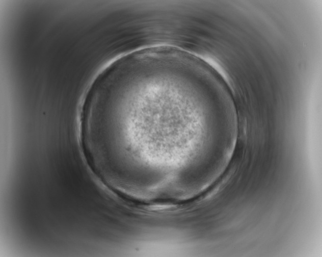 X0000088441151200706051243