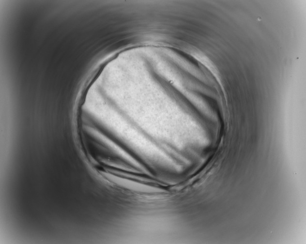 X0000088441152200706051243