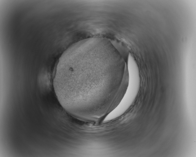 X0000088441156200706051243