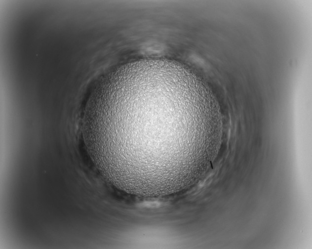 X0000088441157200706051243