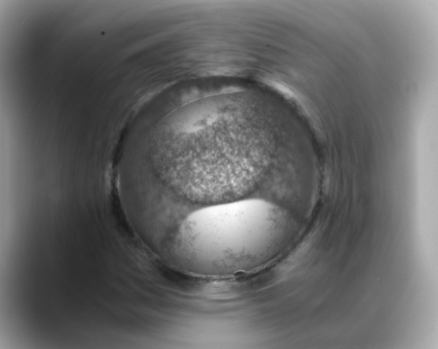 X0000088441161200706051243