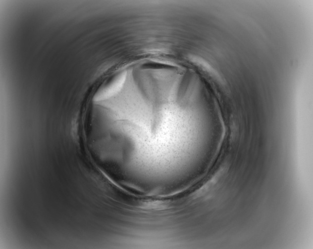 X0000088441162200706051243