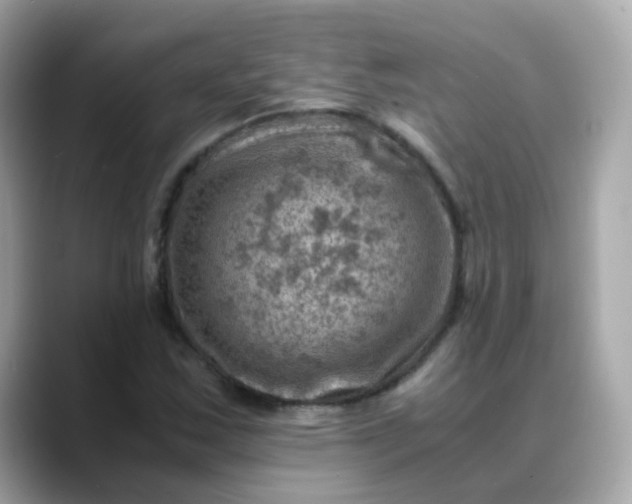 X0000088441163200706051243