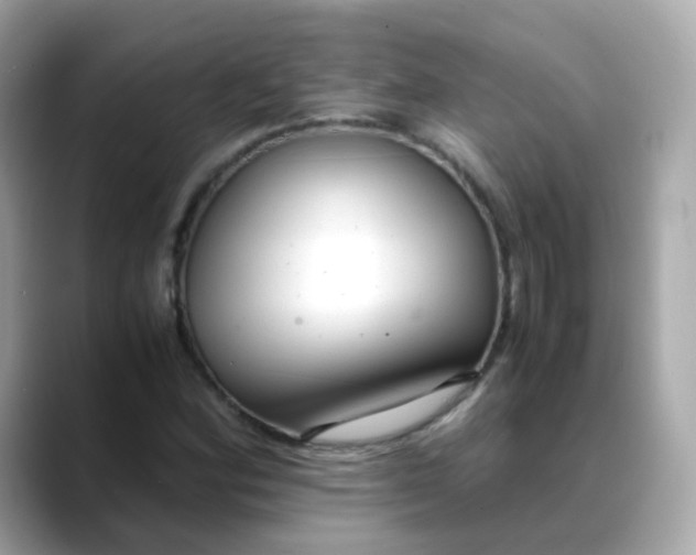 X0000088441164200706051243
