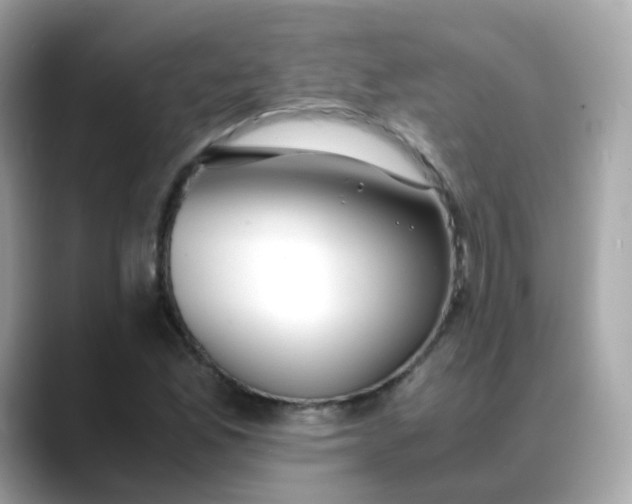 X0000088441165200706051243