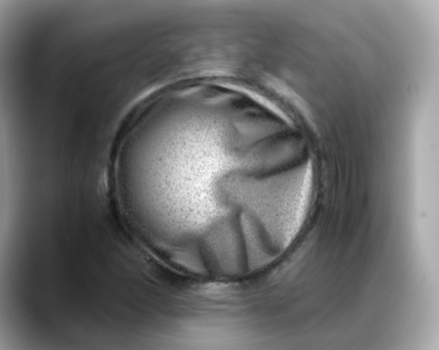 X0000088441166200706051243