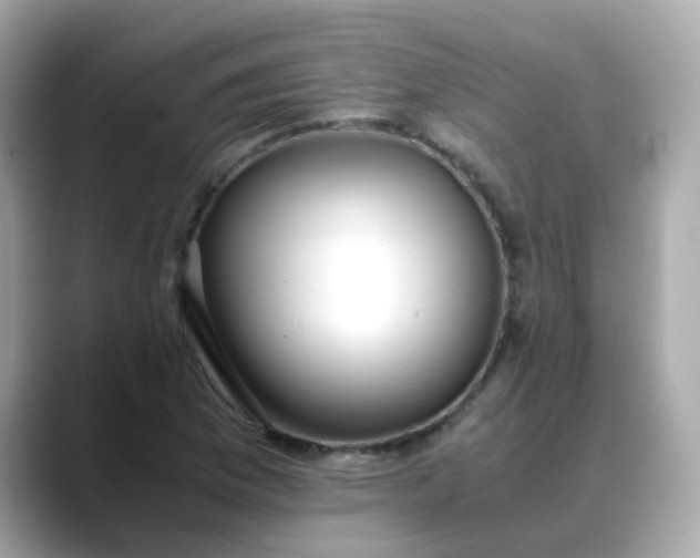X0000088441169200706051243