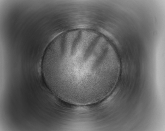 X0000088441170200706051243