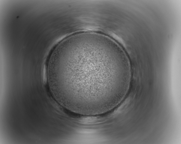 X0000088441171200706051243