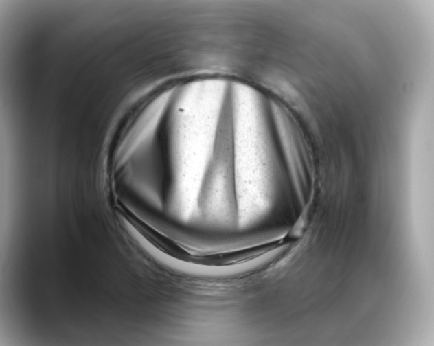 X0000088441172200706051243