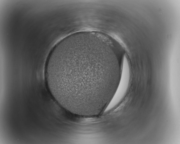 X0000088441173200706051243
