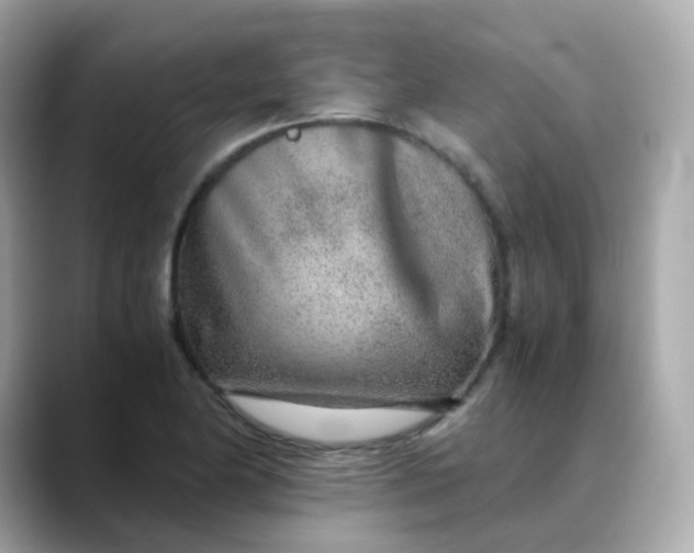 X0000088441174200706051243