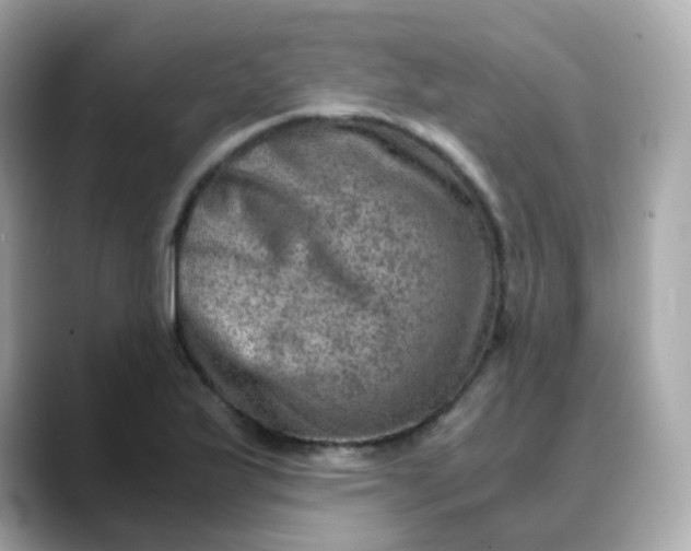 X0000088441175200706051243