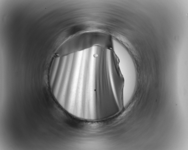 X0000088441177200706051243