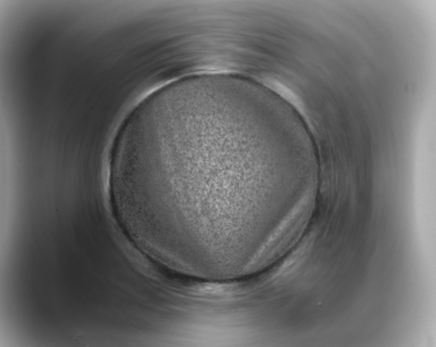 X0000088441179200706051243