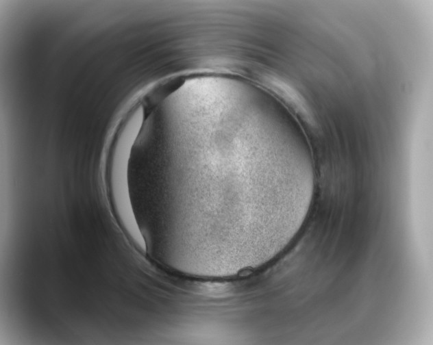 X0000088441180200706051243