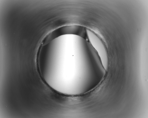 X0000088441181200706051243