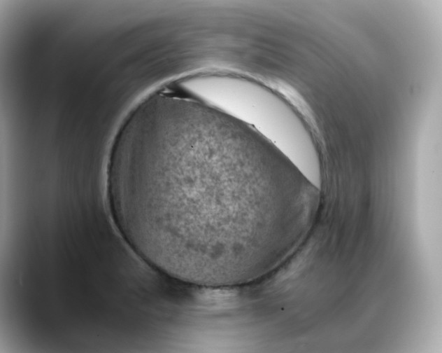 X0000088441183200706051243