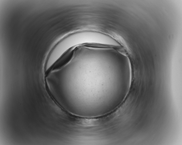 X0000088441184200706051243