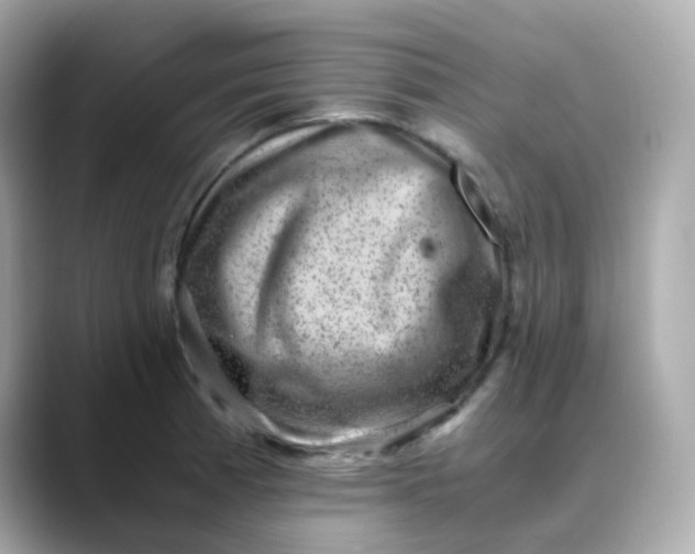X0000088441185200706051243