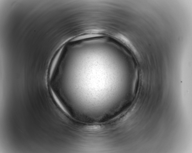 X0000088441186200706051243