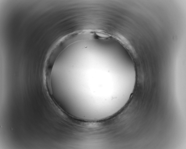 X0000088441188200706051242