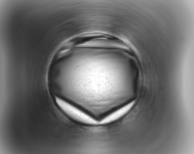 X0000088441189200706051242
