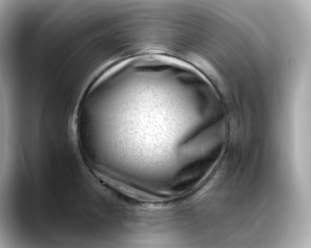 X0000088441190200706051242