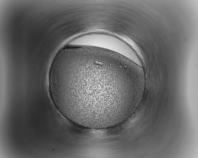 X0000088441191200706051242