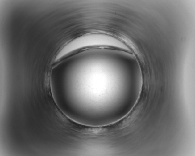 X0000088441193200706051242