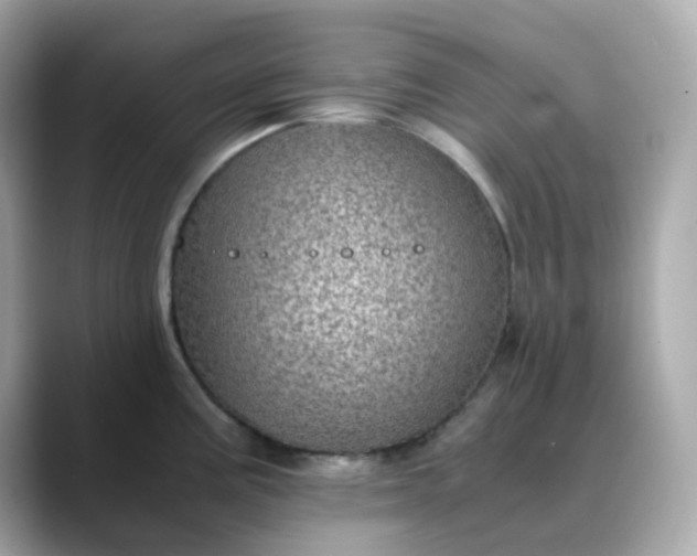 X0000088441195200706051242