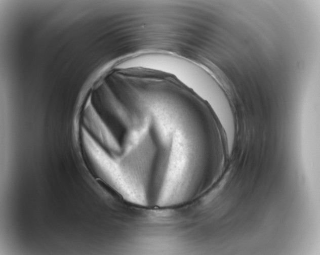 X0000088441196200706051242