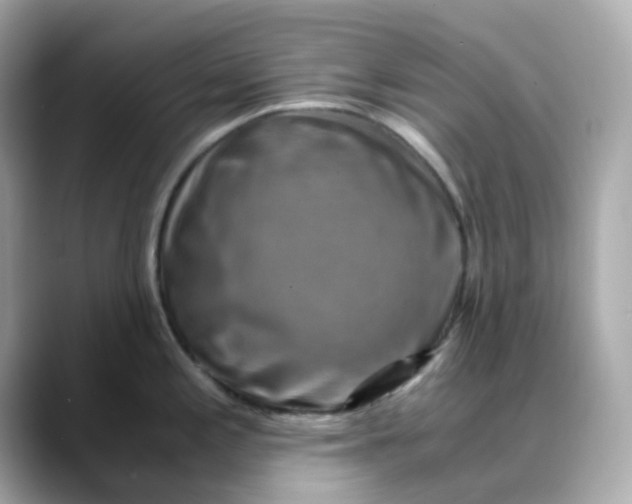 X0000088441197200706051242