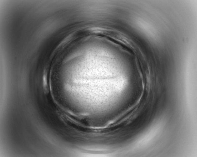 X0000088441198200706051242