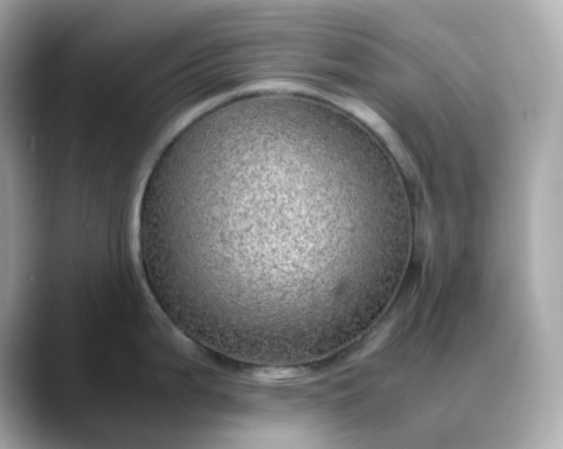 X0000088441199200706051242