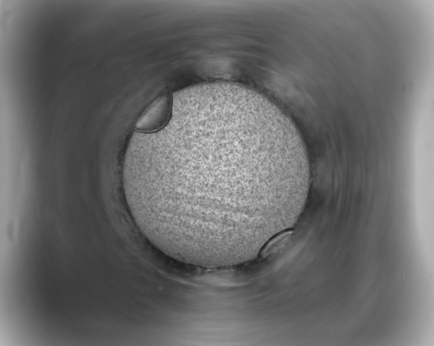 X0000088441201200706051242