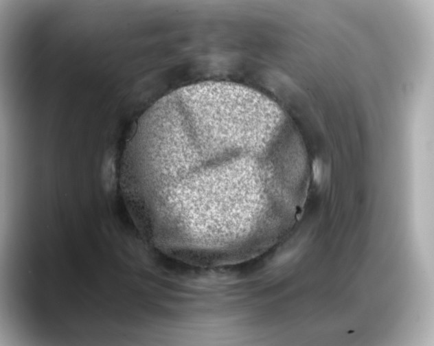 X0000088441203200706051242