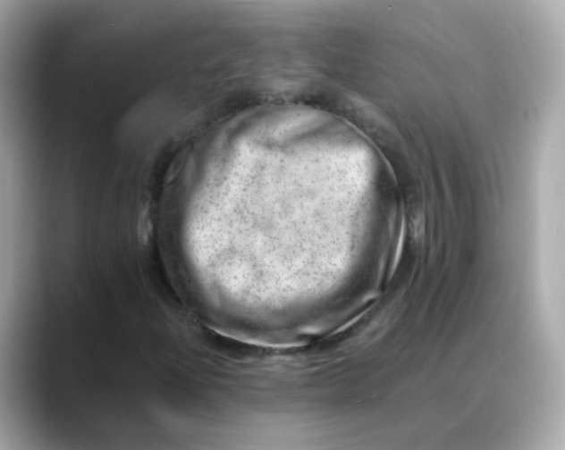 X0000088441204200706051242