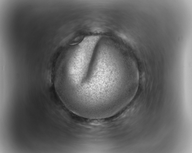 X0000088441205200706051242