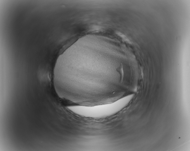 X0000088441206200706051242