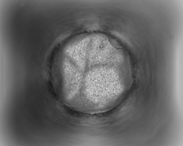 X0000088441207200706051242