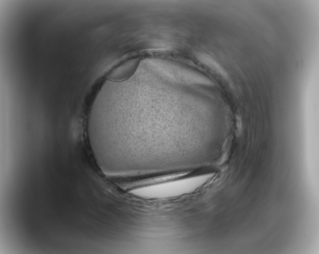 X0000088441208200706051242