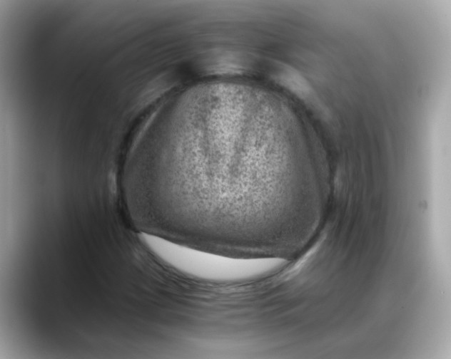 X0000088441209200706051242
