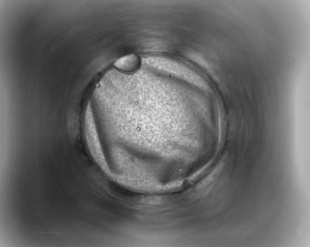 X0000088441211200706051242