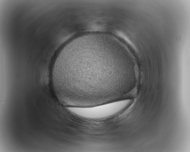 X0000088441213200706051242