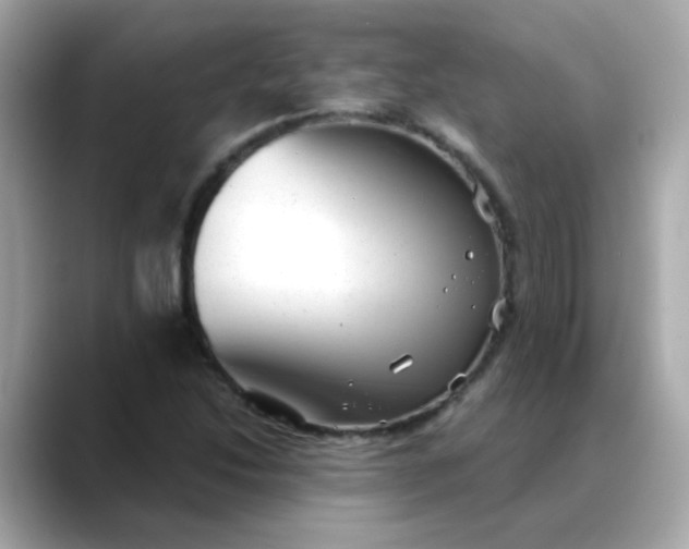 X0000088441214200706051242