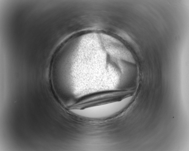 X0000088441216200706051242