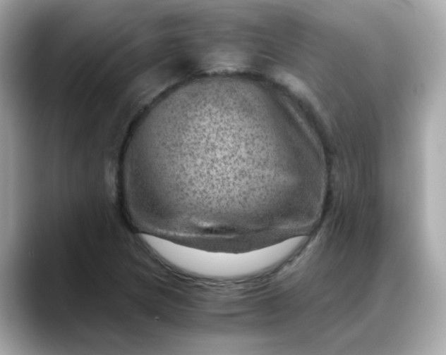 X0000088441217200706051242