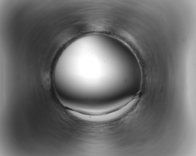 X0000088441218200706051242