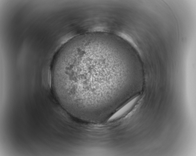 X0000088441219200706051242